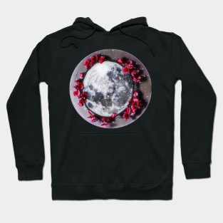 StellaLuna Hoodie